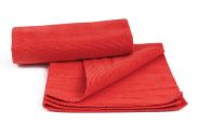 PANNO MICROFIBRA ROSSO 250GR . PZ.2